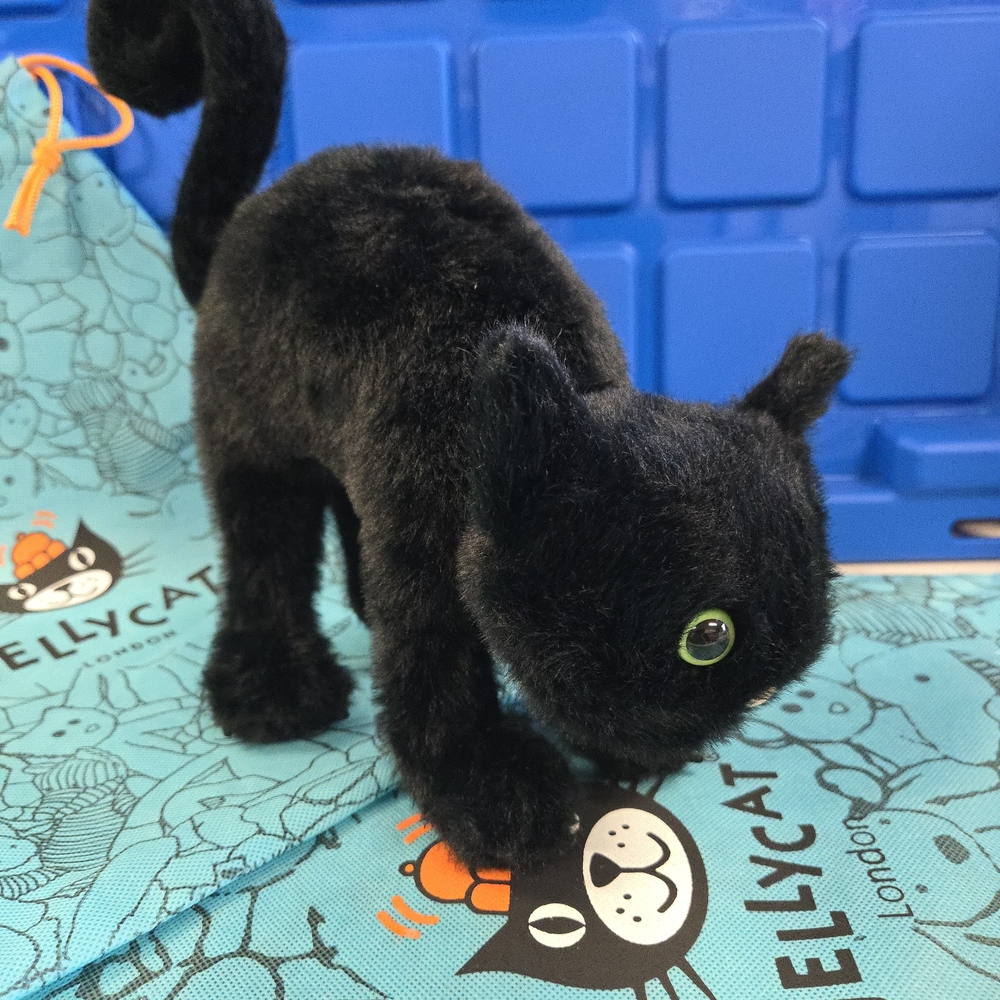 NWT Jellycat Spookipaws Cat With Dust Bag